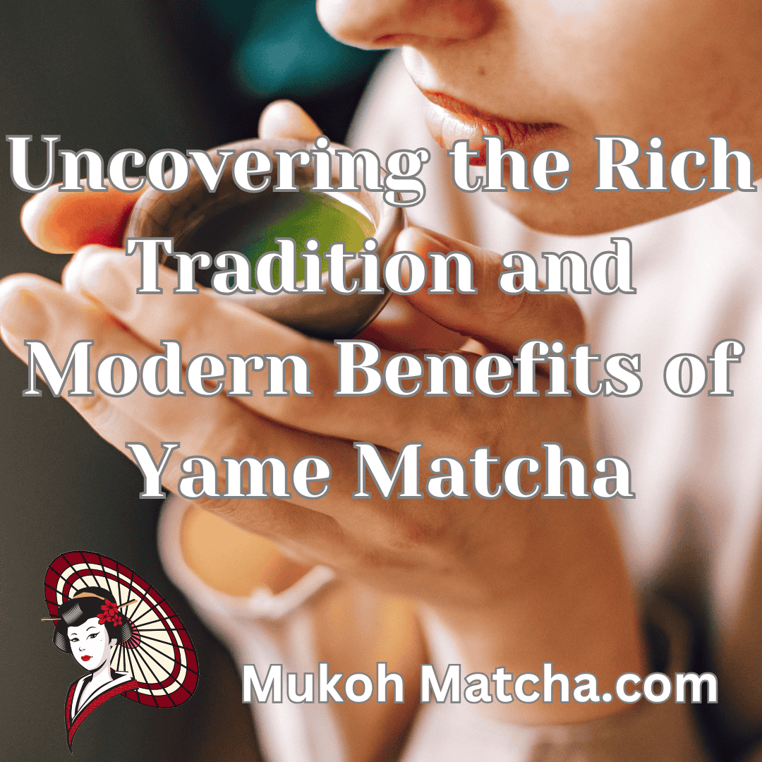 Discover the Art of Brewing Matcha: Tips for the Perfect Cup Every Time