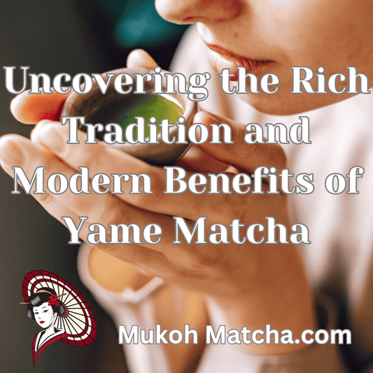 Discover the Art of Brewing Matcha: Tips for the Perfect Cup Every Time