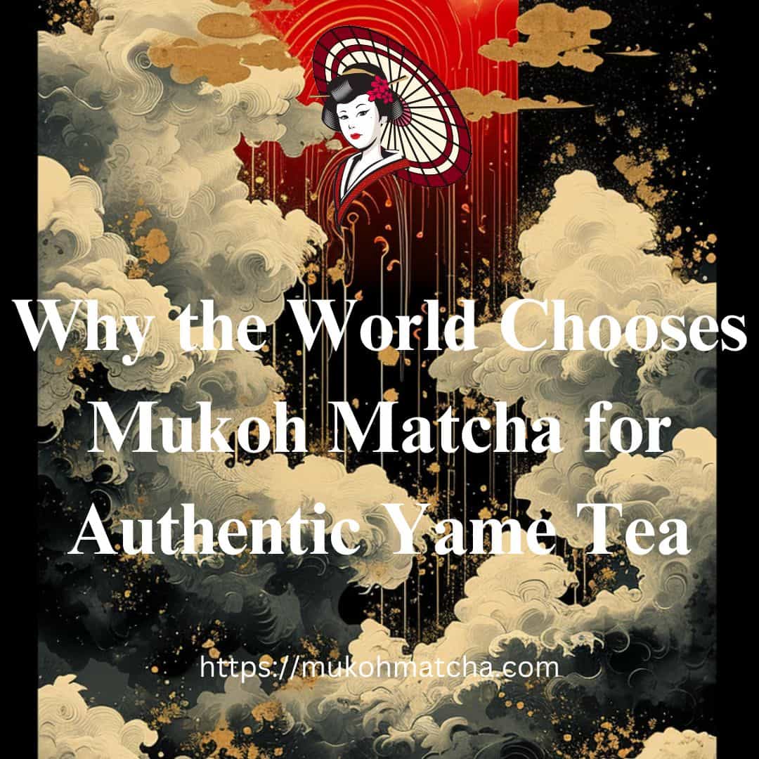 Bringing the Art of Yame Tea to the World