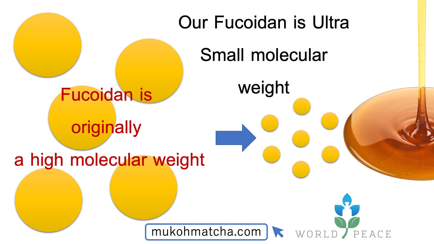 Sea Fucoidan Original - 优质海藻提取物(900ml x 2 瓶)