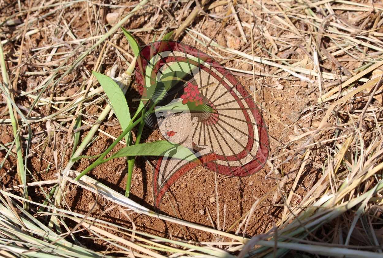 Young Tea Plant Emerging from Soil – Minimal Japanese Nature Photography (Digital Download)