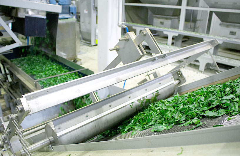【艺伎抹茶】(金)礼仪级正宗高品质日本抹茶绿茶粉