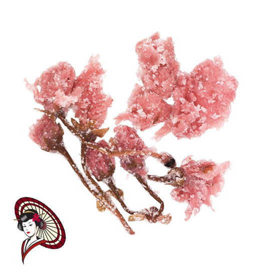 Salt-Pickled Cherry Blossoms (Sakura) Japanese Preserved Kanzan Cherry Blossoms