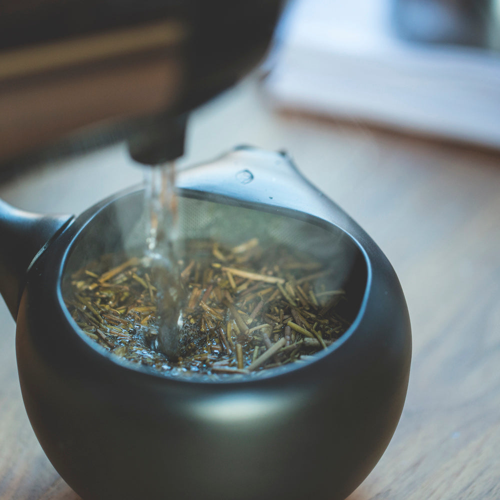 Dreaming Houjicha (Leaves) 向抹茶(むこうまっちゃ)Mukoh Matcha