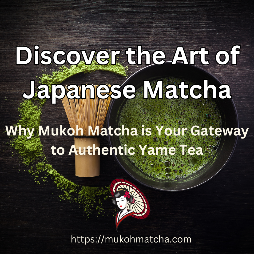 Why Yame Matcha from Mukoh Matcha is the Finest Tea You’ll Ever Experience