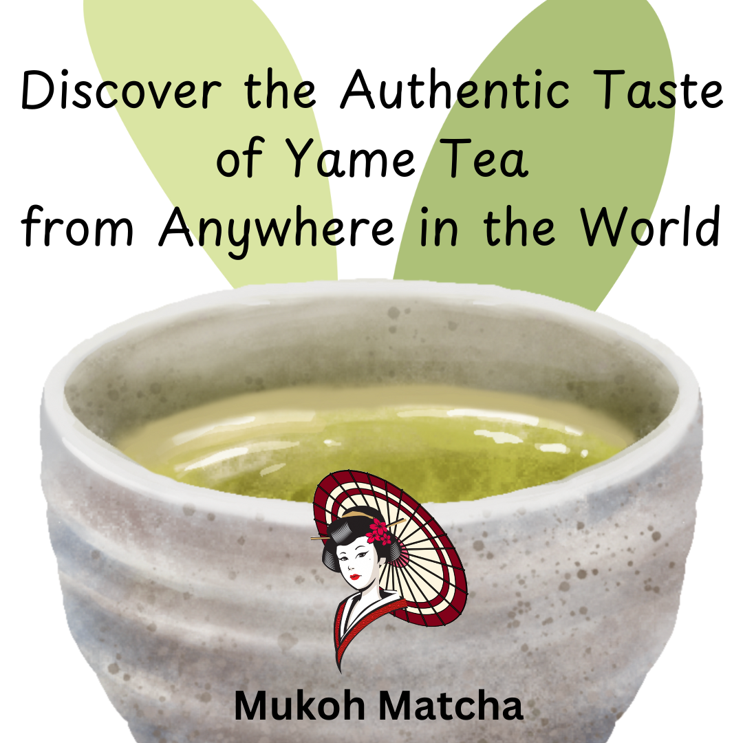 Why Yame Matcha is the Secret to a Healthier Lifestyle