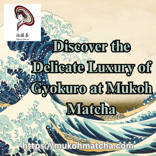 Discover the Delicate Luxury of Gyokuro at Mukoh Matcha