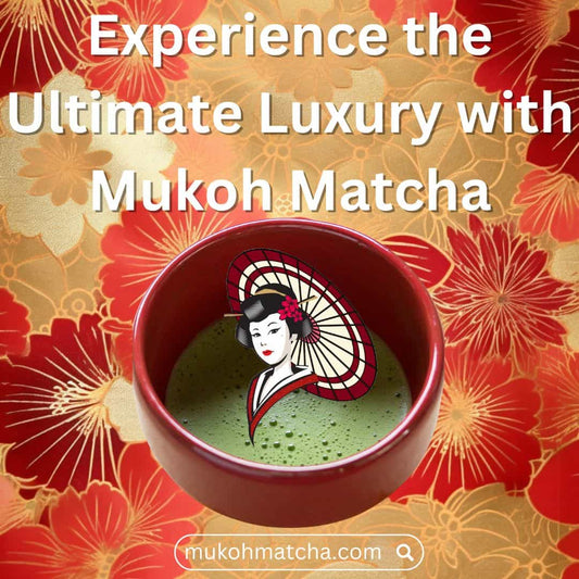 Discover the Art of Luxury Wellness with Mukoh Matcha