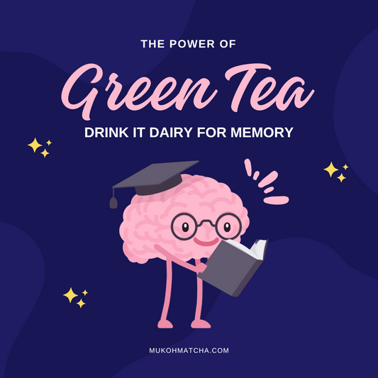 The Power of Green Tea: Why Drinking It Daily Can Help Preserve Memory