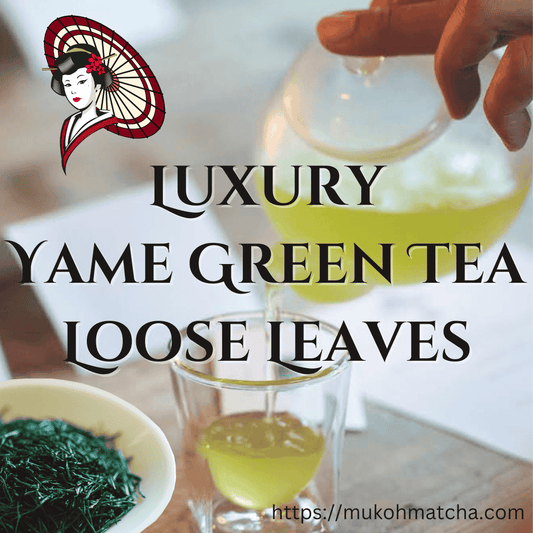 The Art of Yame Green Tea: Discover the Luxury of Mukoh Matcha Loose Leaves