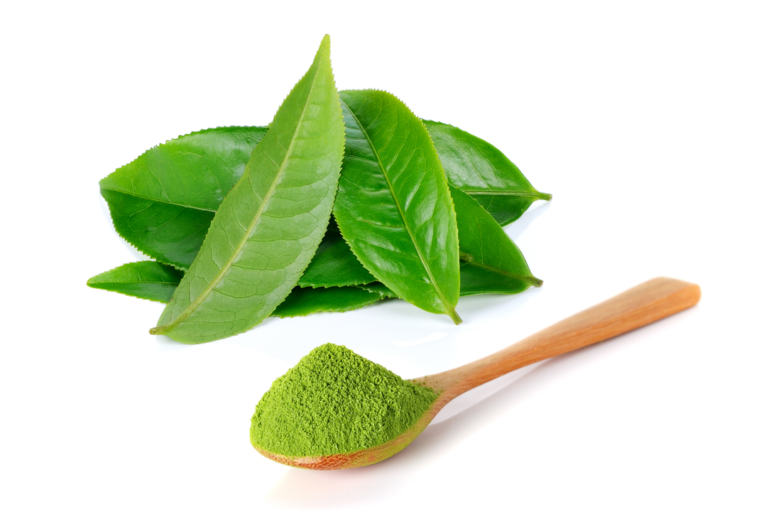 How To Incorporate Matcha Powder In Your Diet