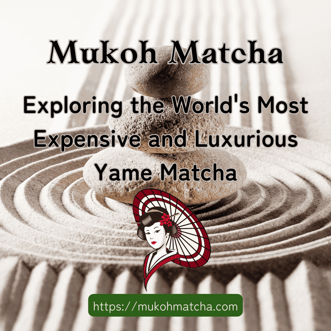 Mukoh Matcha: Exploring the World's Most Expensive and Luxurious Yame Matcha