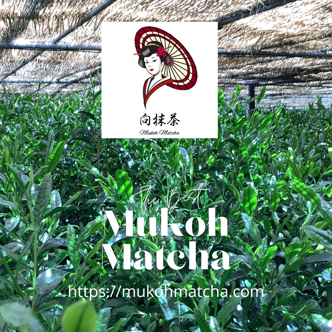 The Prestige of Mukoh Matcha’s High-End Matcha