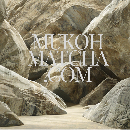 Discover the Essence of Japanese Tea with Mukoh Matcha