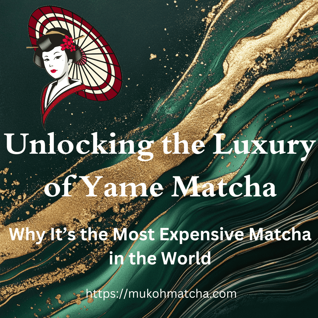 How to Improve Your Matcha Experience: A Guide to Choosing the Best Yame Matcha