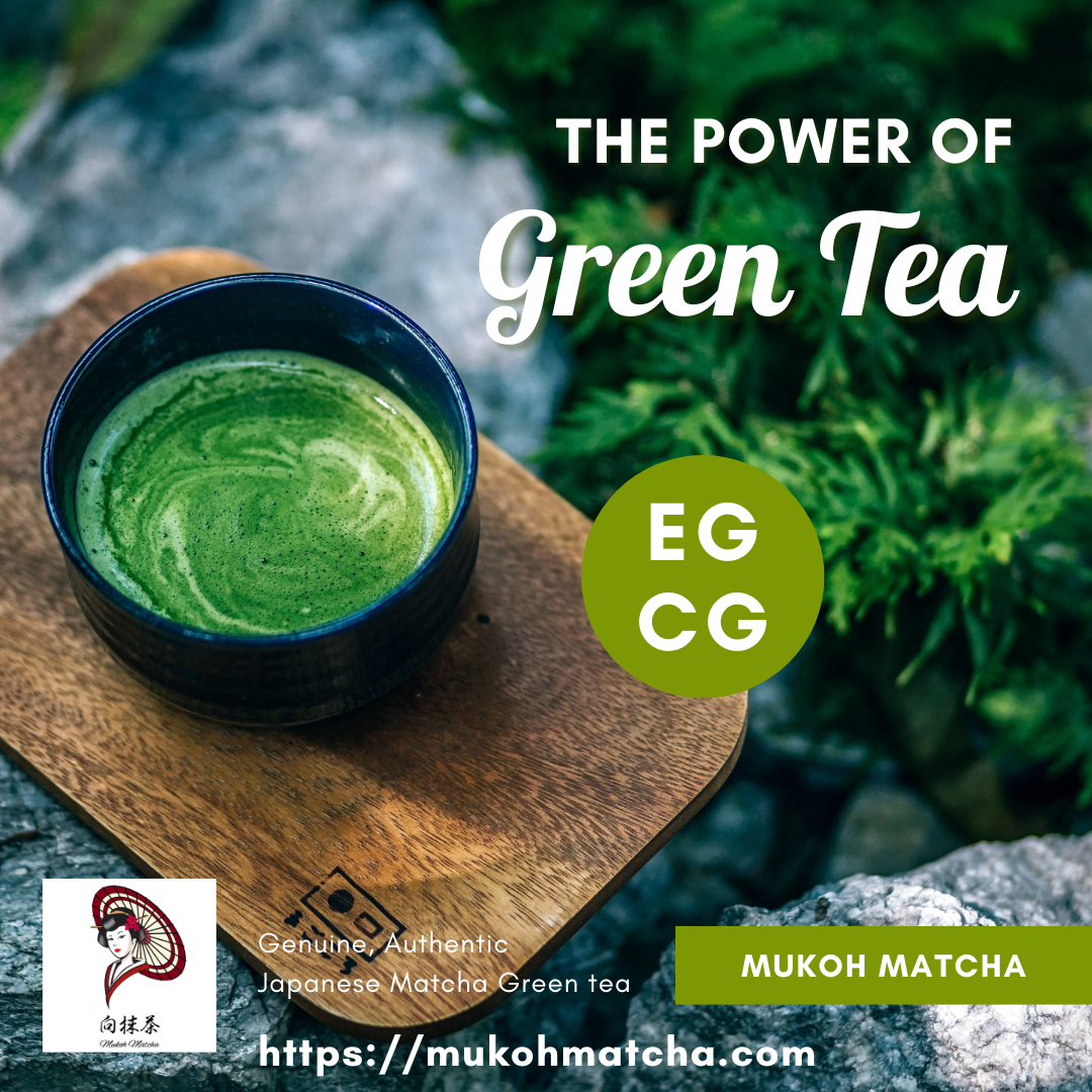 Unlocking the Power of EGCG with Mukoh Matcha