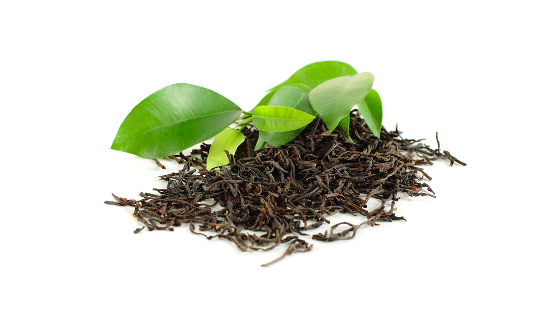 Yame Dento-Hon-Gyokuro | Green Tea Leaves