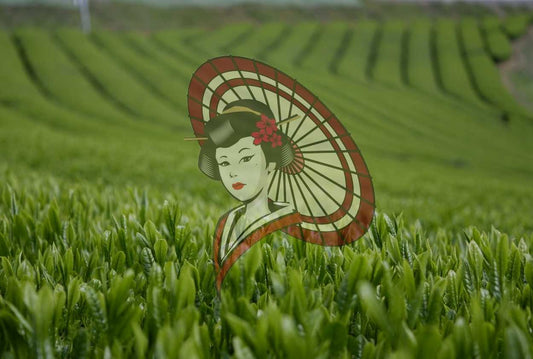 Tea shoots and rows of tea plants with the Mukoh Matcha logo