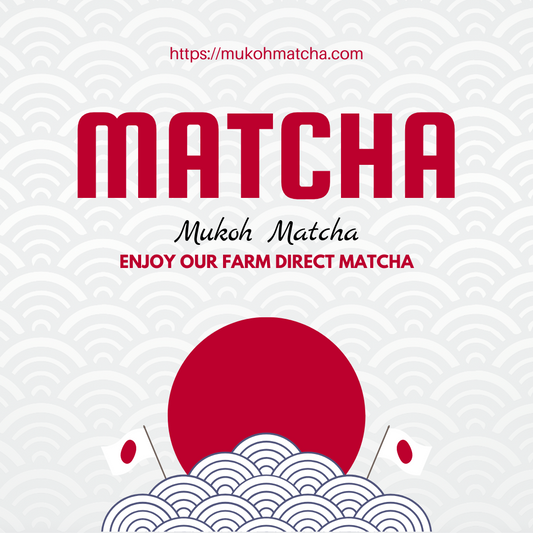 Discover the Essence of Japanese Tea with Mukoh Matcha's Yame Premium Grade Matcha