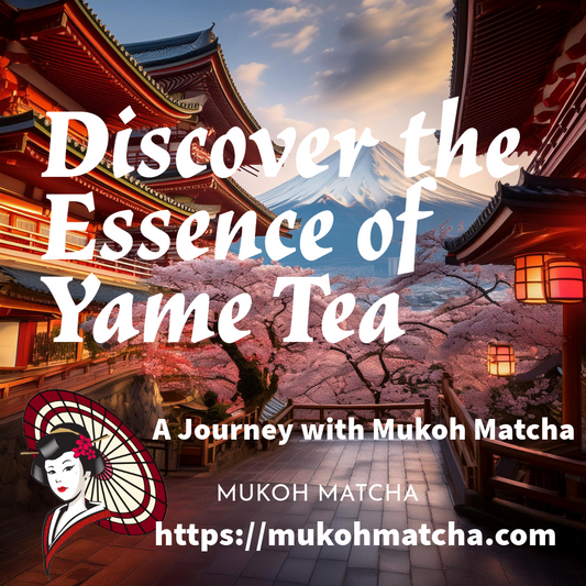 Unveil the Secrets of Yame Tea: Experience the Art of Mukoh Matcha