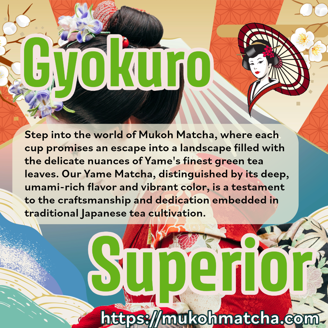 Discover the Sublime Elegance of "GYOKURO Superior" at Mukoh Matcha