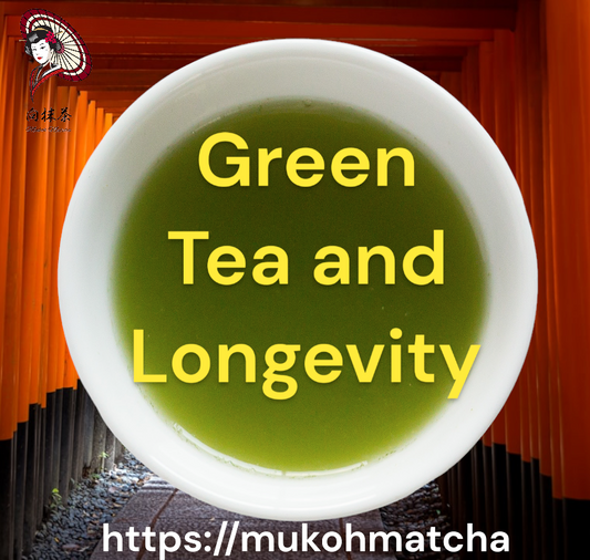 The Ritual of Green Tea: How Mukoh Matcha Enhances Daily Life and Longevity