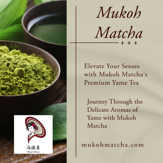 Embrace the Exquisite World of Yame with Mukoh Matcha