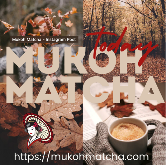 Savor the Rich Tradition of Yame Tea with Mukoh Matcha