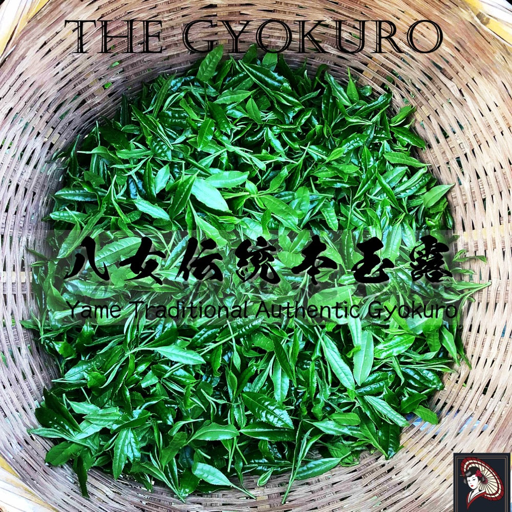 [General Grade] Yame Dentou Hon Gyokuro (Yame Traditional Authentic Gyokuro) Green Tea Leaves 向抹茶（むこうまっちゃ）Mukoh Matcha