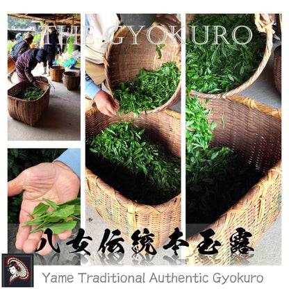 [Dreaming Gyokuro] "The Gyokuro" (Loose Leaves) Special Choice by Mukoh Matcha The most expensive Japanese green tea Ultimate High-End Luxury green tea "Yame Traditional Authentic Gyokuro" Single Origin 特選 八女伝統本玉露 茶葉
