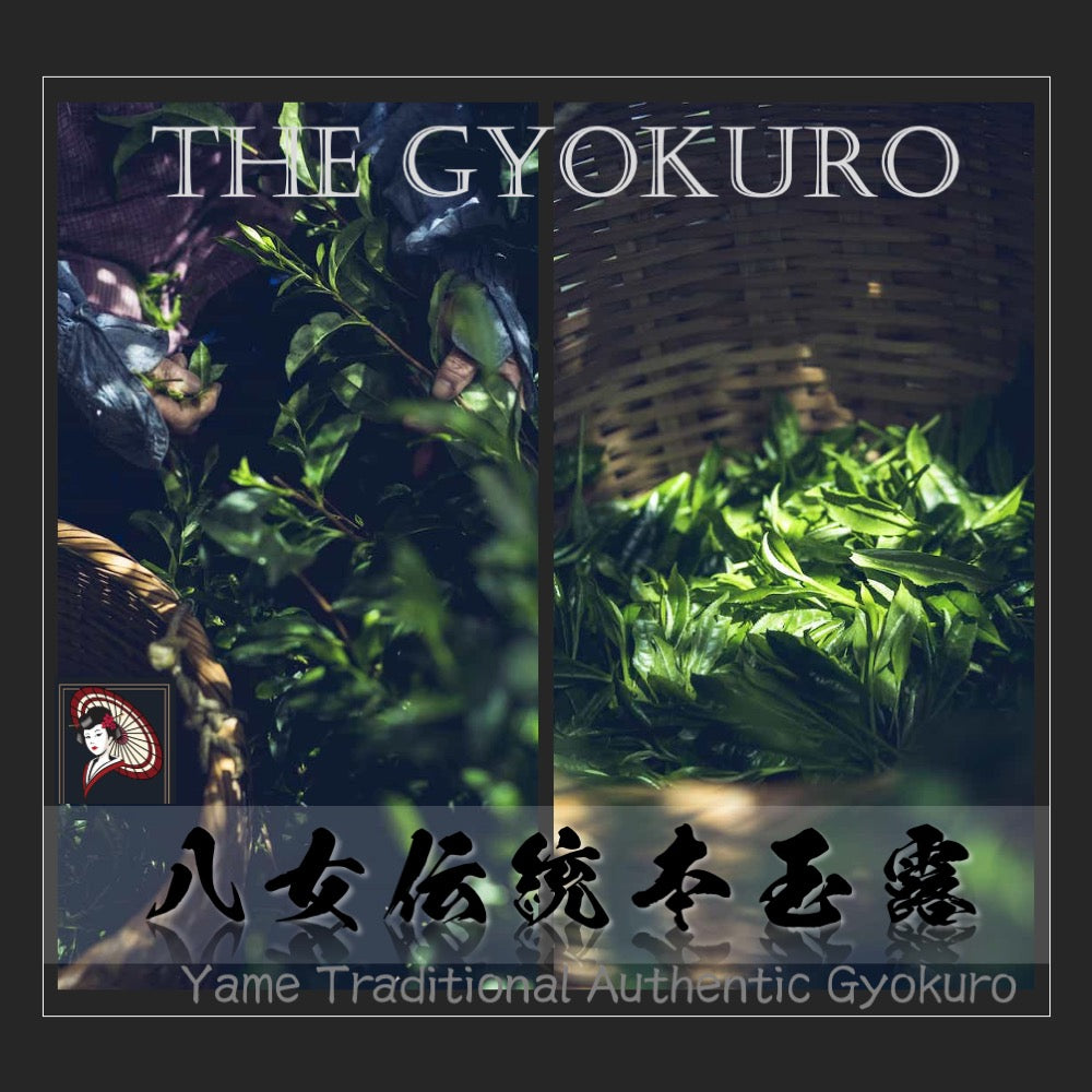 [General Grade] Yame Dentou Hon Gyokuro (Yame Traditional Authentic Gyokuro) Green Tea Leaves 向抹茶（むこうまっちゃ）Mukoh Matcha
