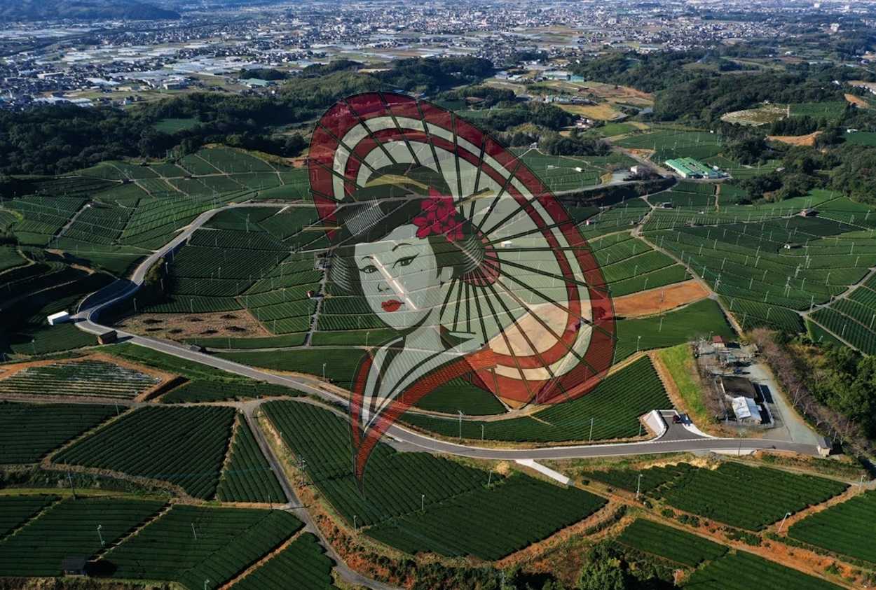 Aerial Landscape of Yame Tea Fields, Japan – Authentic Japanese Green Tea Region from Above | Digital Download