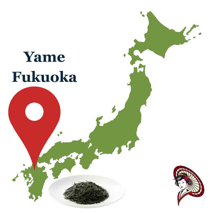🍃Bulk & Wholesale [100% Yame Green Tea Leaves]
