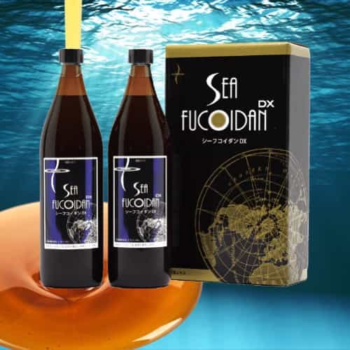Sea Fucoidan DX - Premium Seaweed Extract (900ml x 2 bottles)