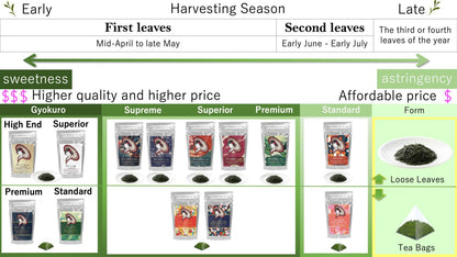 [Yame Green Tea Tea Bags] Japanese Green Tea from Yame