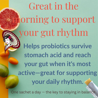 [Chill Time] – Probiotic Jelly with Aojiru Extract & Fruits | Daily Wellness Supplements