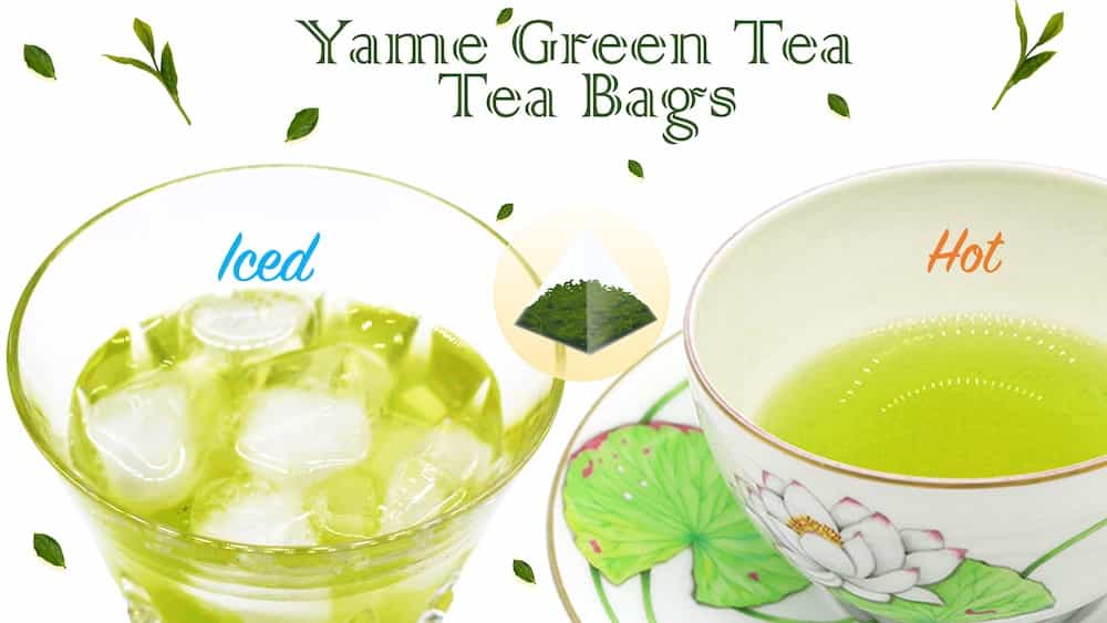 Dreaming Ryokucha (Green)Tea Bags Yamecha Yame Tea 向抹茶（むこうまっちゃ）Mukoh Matcha