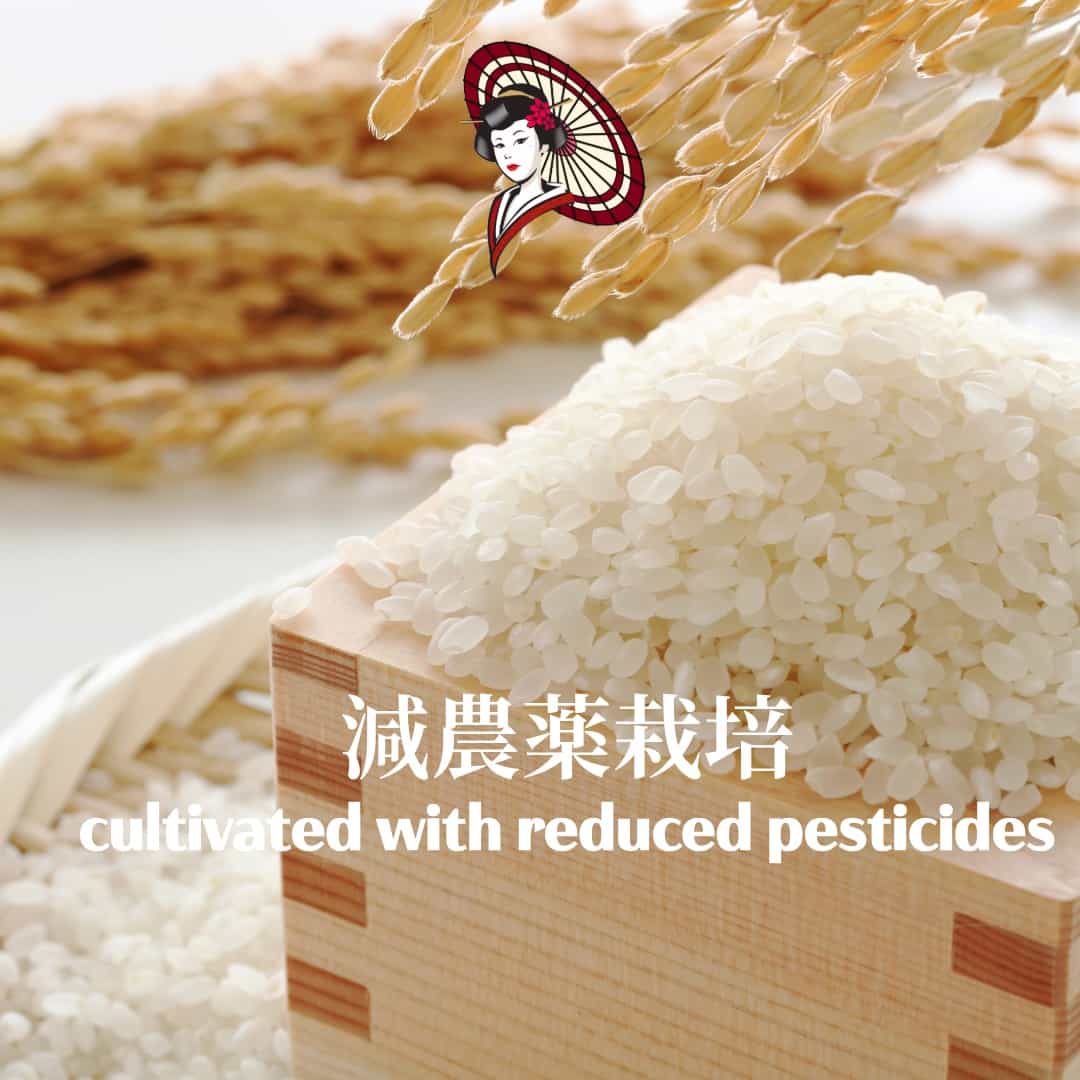 [Premium Japanese Dreaming White Rice] from Saga Prefecture, Reduced-Pesticide, 1kg Pack 九州産 佐賀県産 減農薬 白米 1kgパック 国産プレミアム米