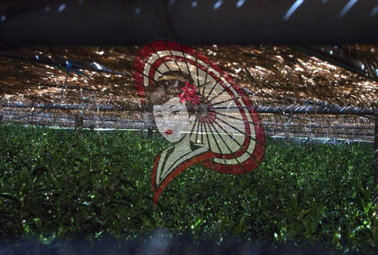 Traditional Yame Hon-Gyokuro Tea Field – Natural Straw Shading Photography (Digital Download)