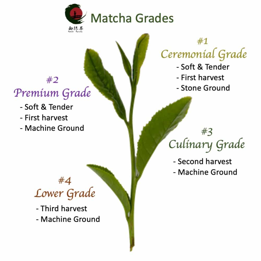 Direct Trade Premium Grade [Sweet Matcha] Sweetened matcha green tea powder ready for latte, baking, sweets etc.