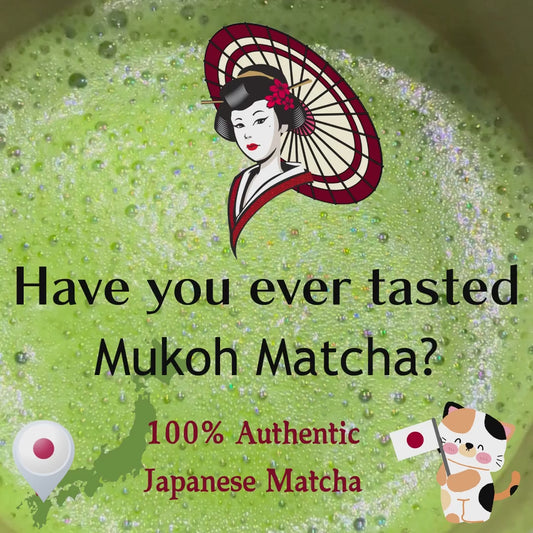 Ceremonial Grade Yame Matcha Trial Set #S | 6 Varieties | 20g–100g Each