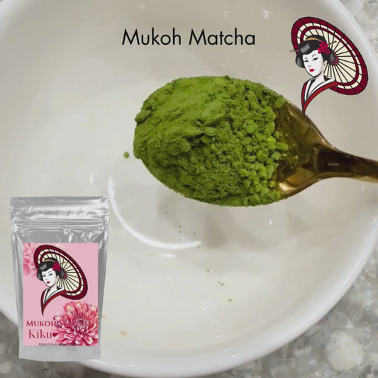 ⭐️[Kiku] Yabukita blend Yame Matcha Green Tea Powder Bulk & Wholesale - Culinary Second Grade (ceramic ball mill grinding)