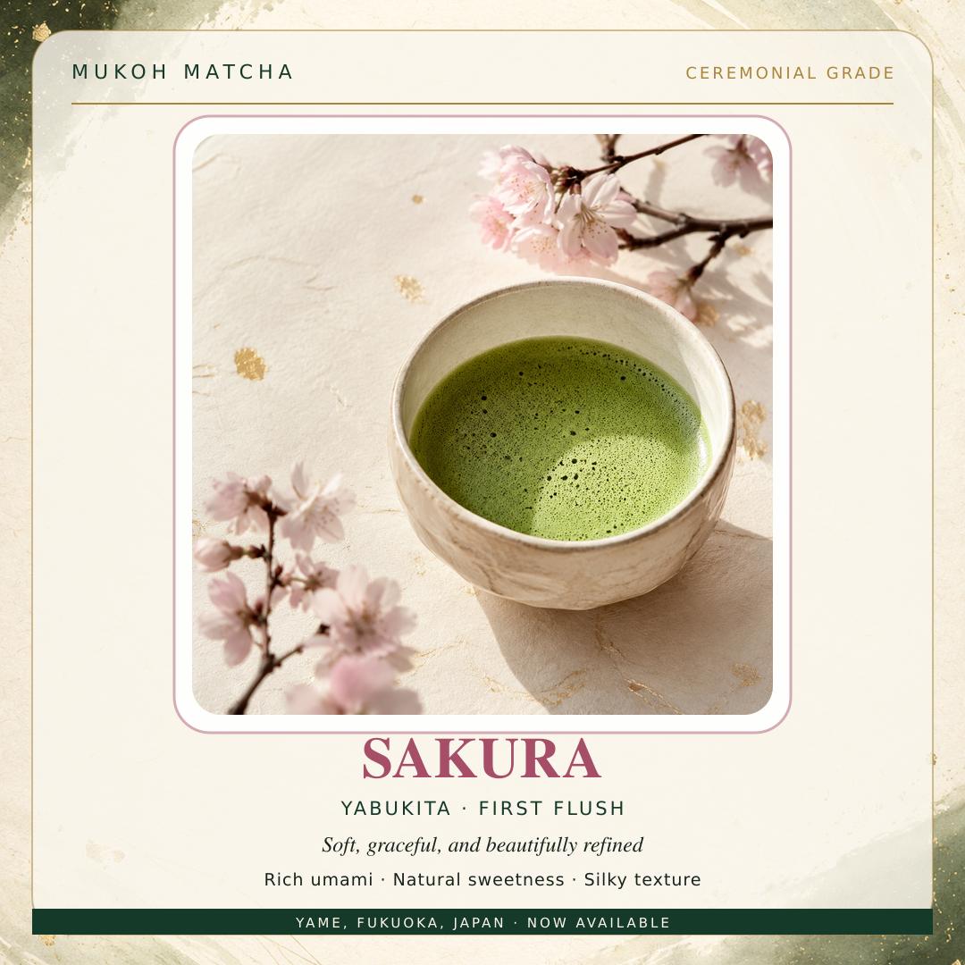 Sakura Ceremonial Grade promotional illustration with a bowl of matcha and cherry blossoms