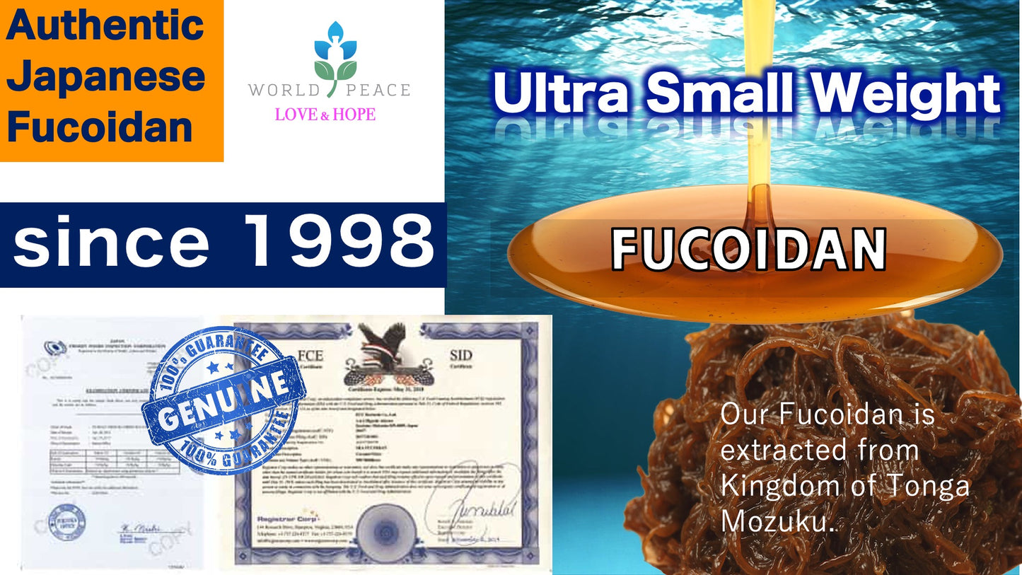 Long & Best seller Ultra Low (Small) Molecular Weight Fucoidan Beverage