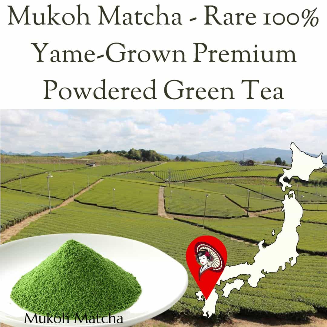 [Mukoh Matcha] 100% Yame-Grown Yamecha First Flush Sencha Powdered Green Tea For Drinking, Cooking, Seasonal Presents, Mother’s Day, Father’s Day, and Souvenirs100% 八女産 八女茶 一番茶 煎茶 粉末緑茶 飲用 料理用 贈り物 ギフト お歳暮 お中元 母の日 父の日 お土産