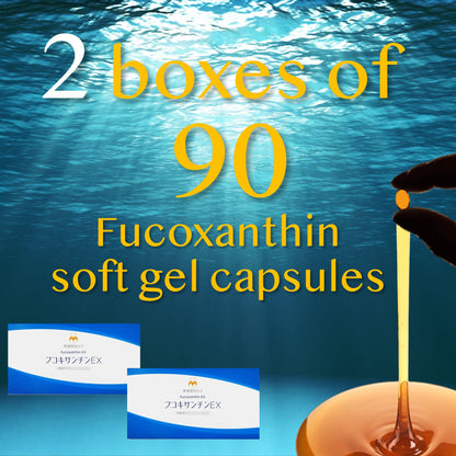 Fucoxanthin soft gel capsules - Low Molecular Weight Fucoxanthin EX 200 mg x 90 in a box