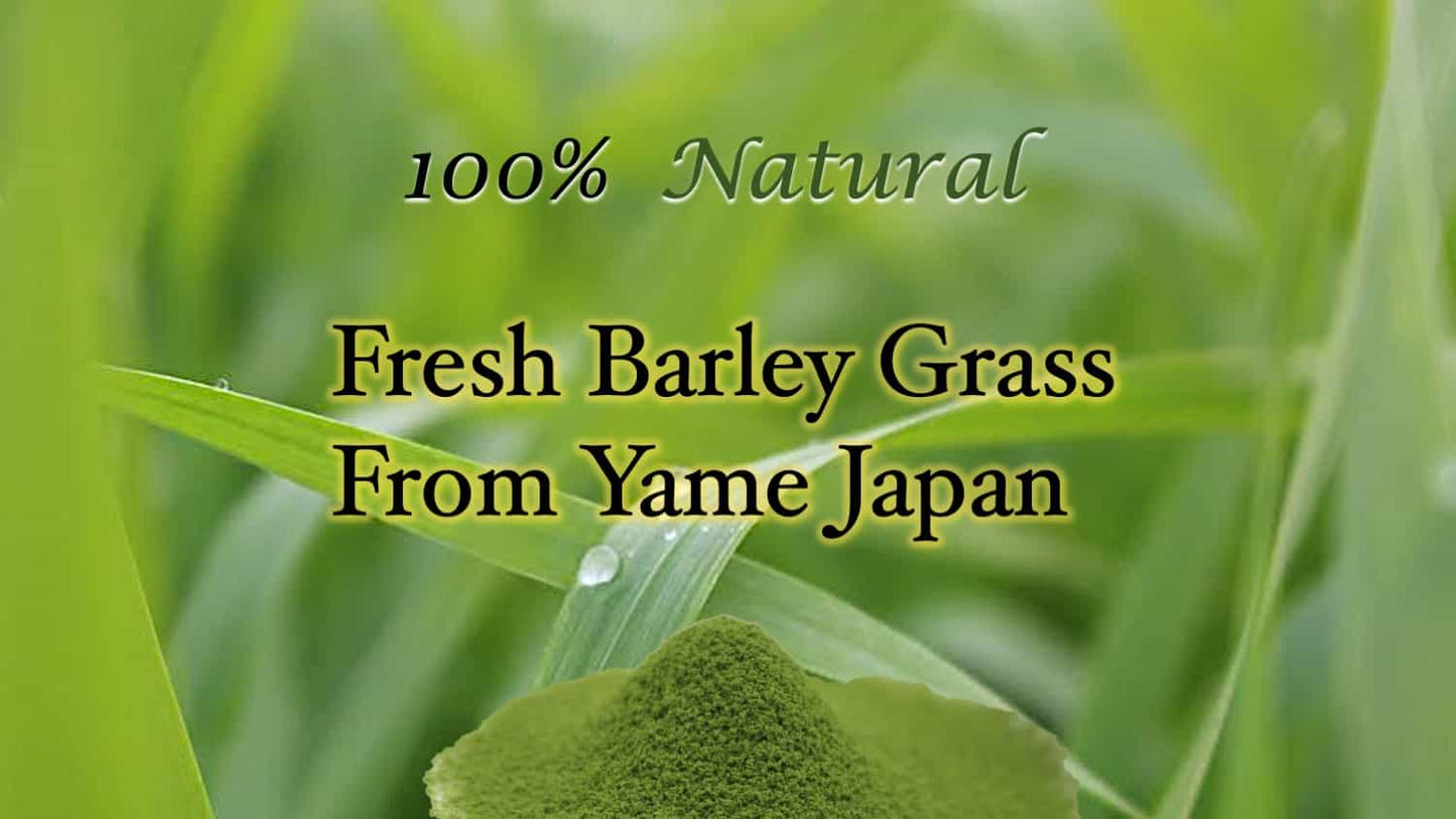 High Quality Genuine Authentic Japanese Matcha Barley Grass Powder Sanpachi 38