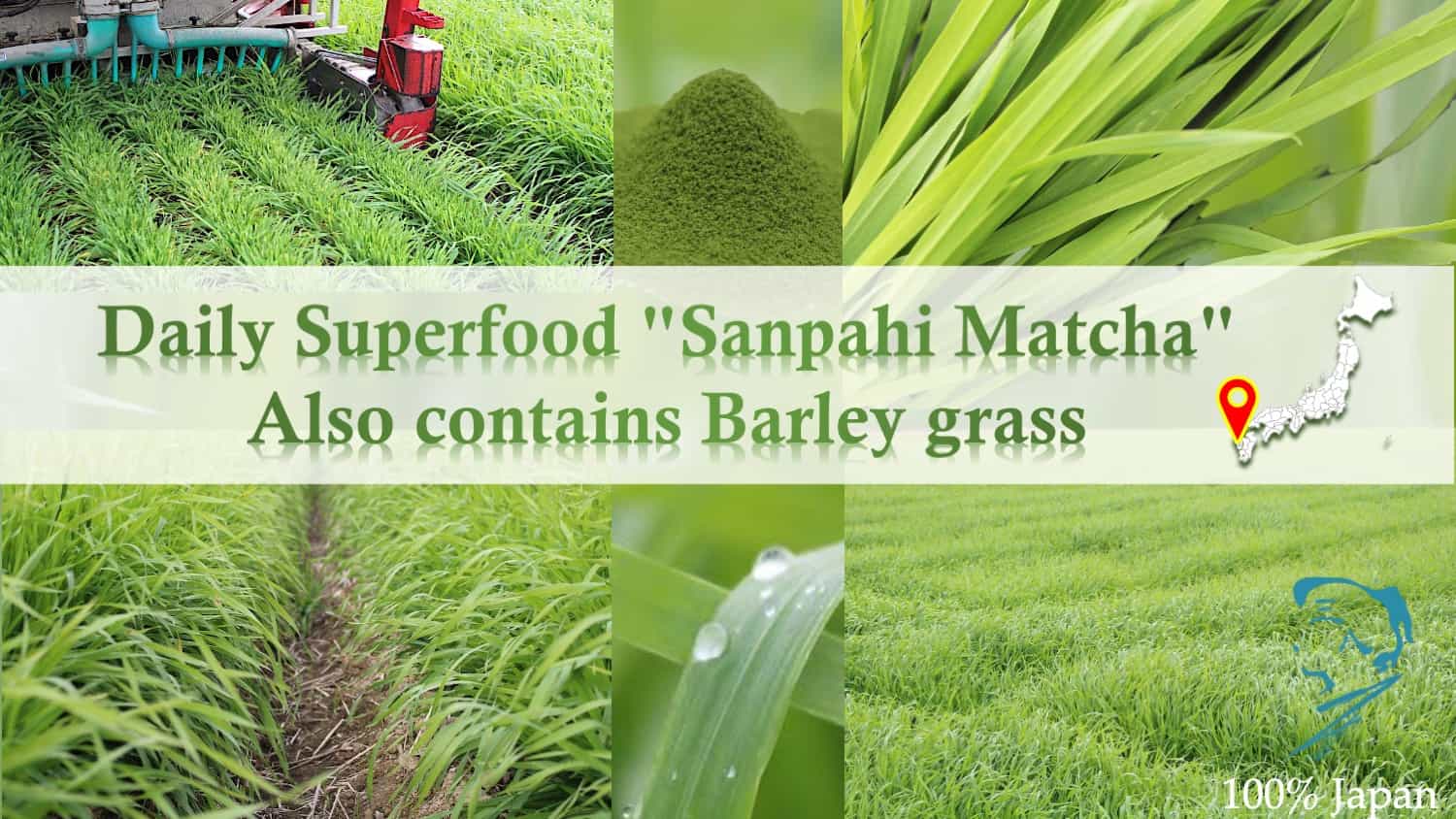 High Quality Genuine Authentic Japanese Matcha Barley Grass Powder Sanpachi 38
